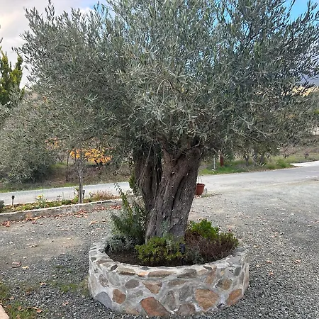 Sofros Valley Hills Chalet Agios Mamas Exterior foto