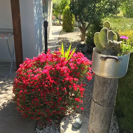Sofros Valley Hills Chalet Agios Mamas Exterior foto