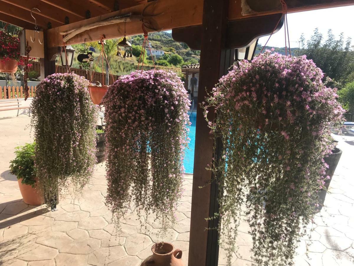 Sofros Valley Hills Agios Mamas