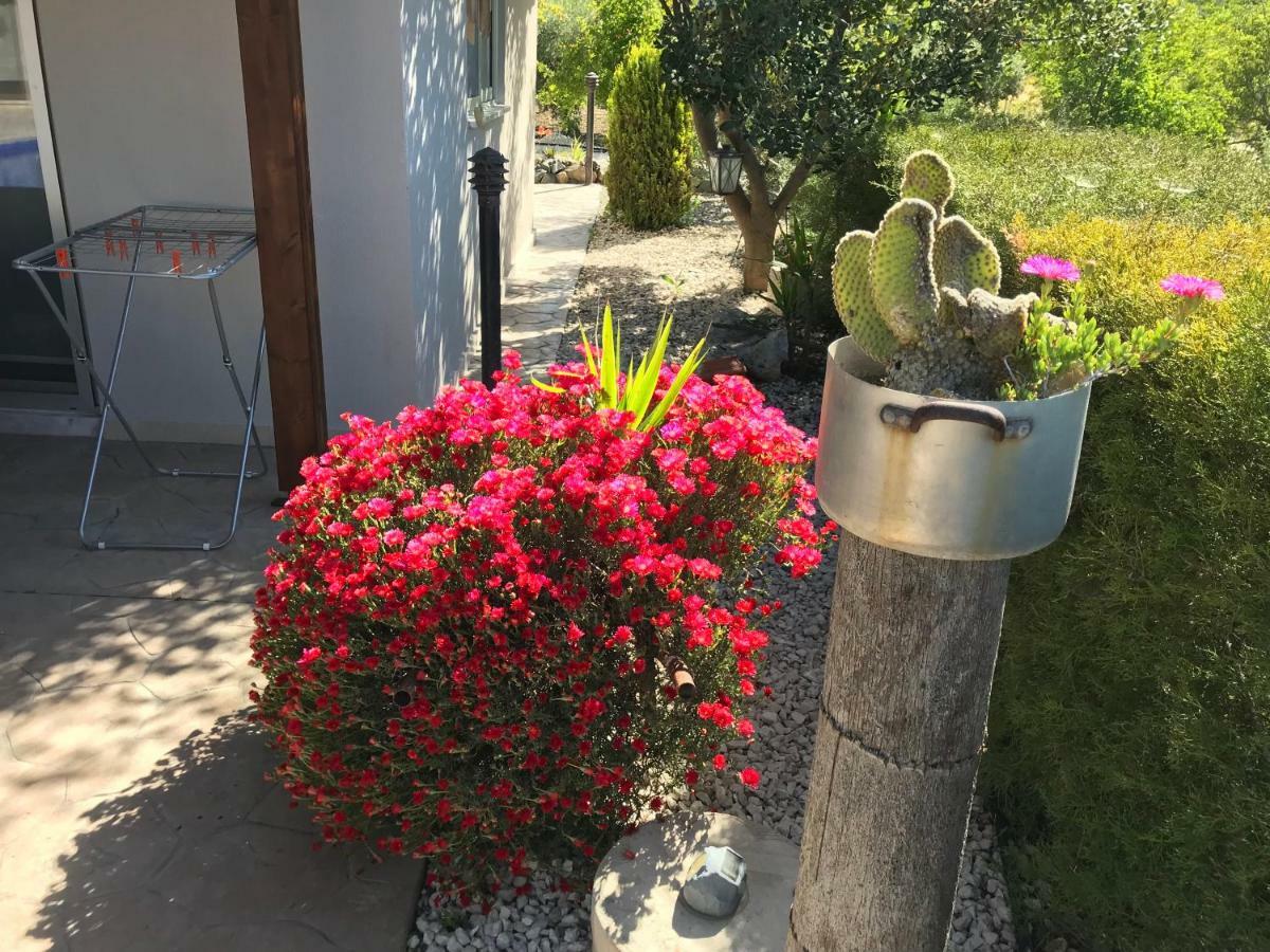 Sofros Valley Hills * Agios Mamas